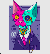 Digital Velocity #002